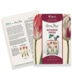 dp_dutchtulips_1